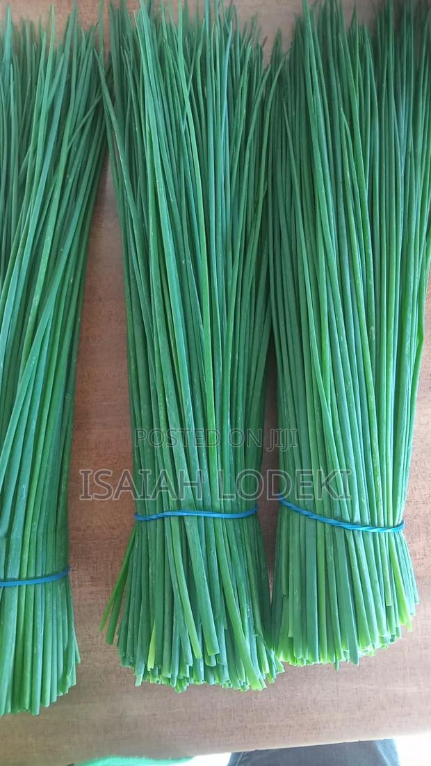 Herbs Expert - thumbnail 7