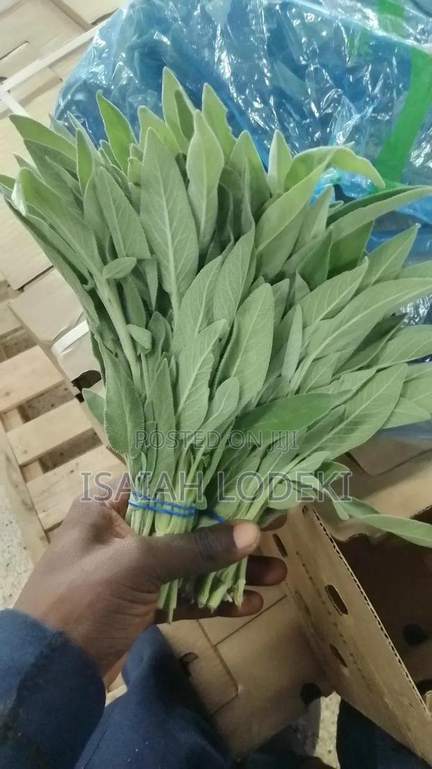 Herbs Expert - thumbnail 3