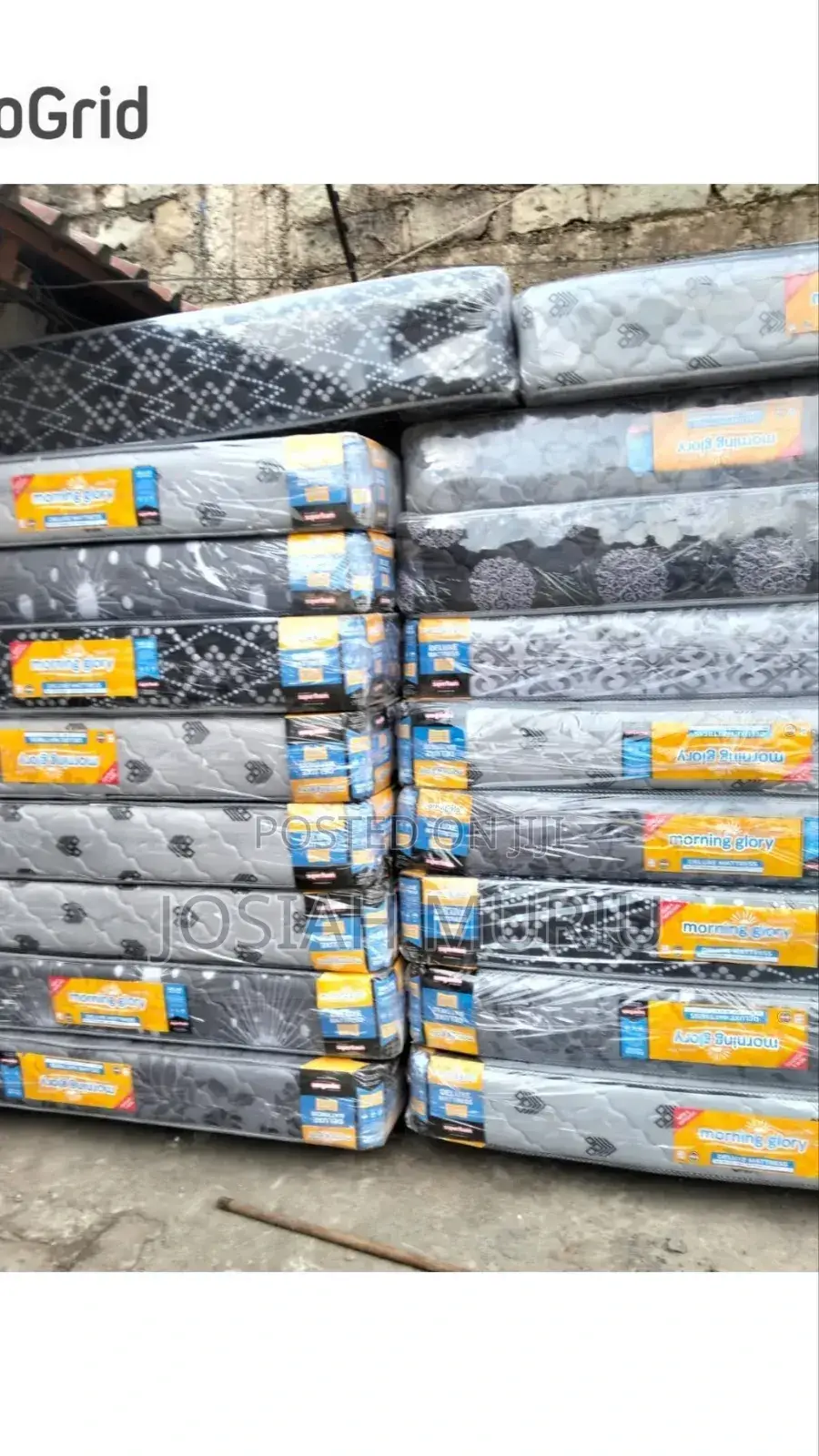 Morning Glory 6*6 Medium Density Quilted 8inch Mattress