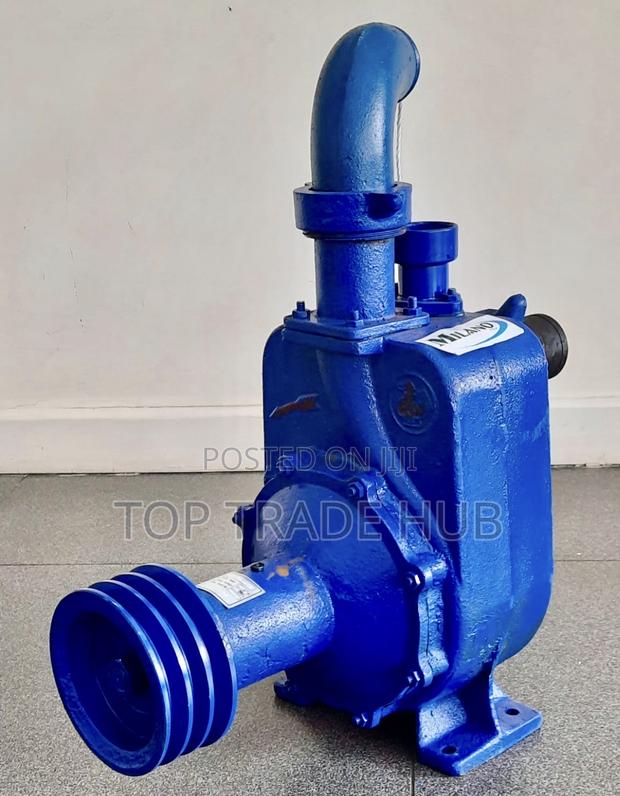 Milano 50bpz-55 Bare Water Pump 2 Inch 55 Meter Head