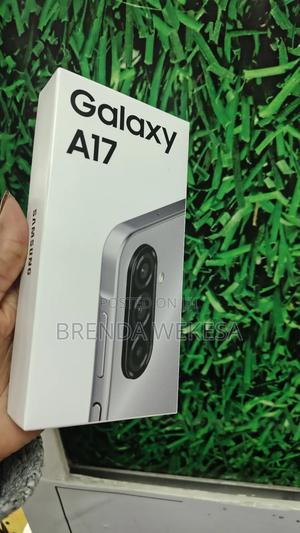 New Samsung Galaxy A17 128 GB Silver - main view