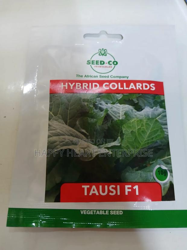 Tausi F1 Hybrid Collards 10g