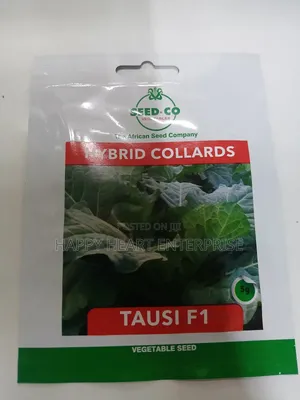 Hybrid Collards Tausi F1 5g