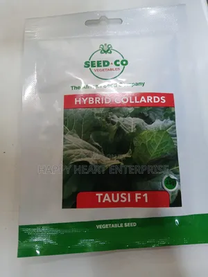 Tausi F1 Hybrid Collards 25g