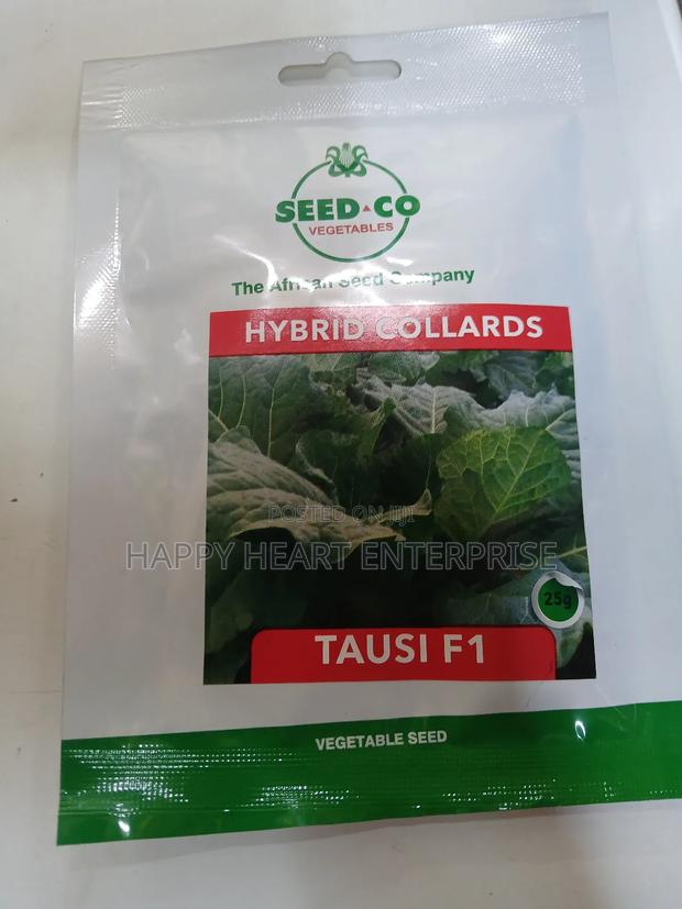 Tausi F1 Hybrid Collards 25g - main view