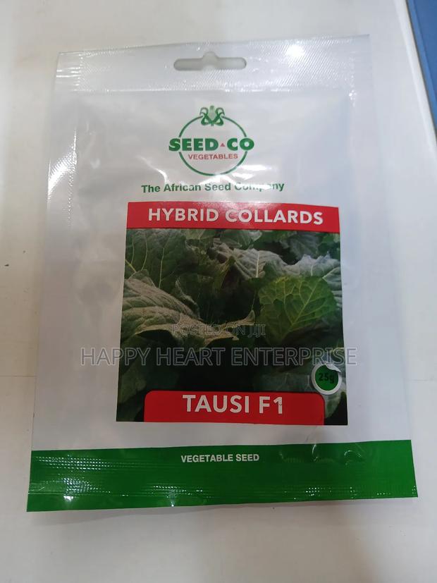 Tausi F1 Hybrid Collards 25g - thumbnail 4