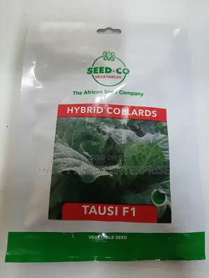 Hybrid Collards Tausi F1 50g