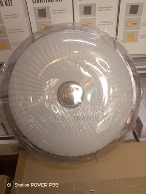 Ceiling Light