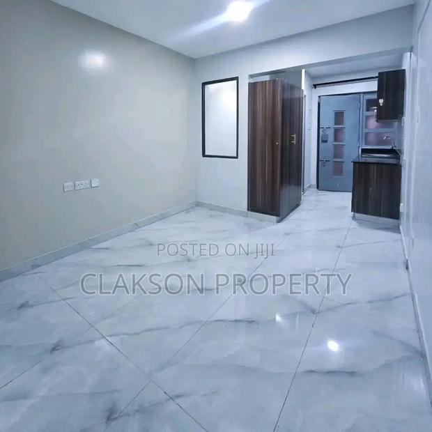 1bdrm Bedsitter in Naivasha Road, Dagoretti Corner for rent - thumbnail 2