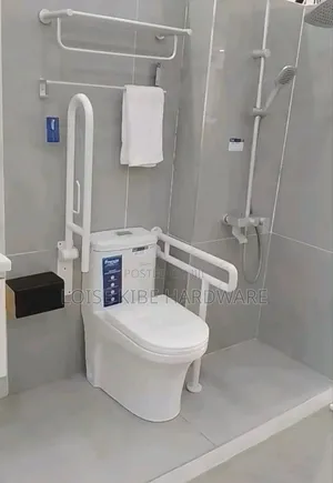 Bathroom Accessories for Disability Available