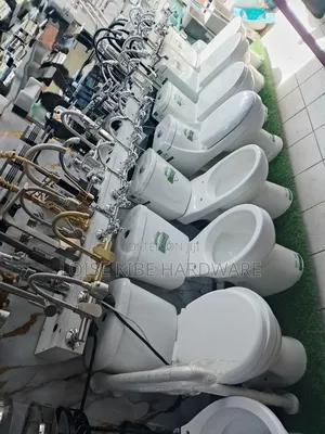 From the Small Toilet to Biggest Sawa Toilet Is Available