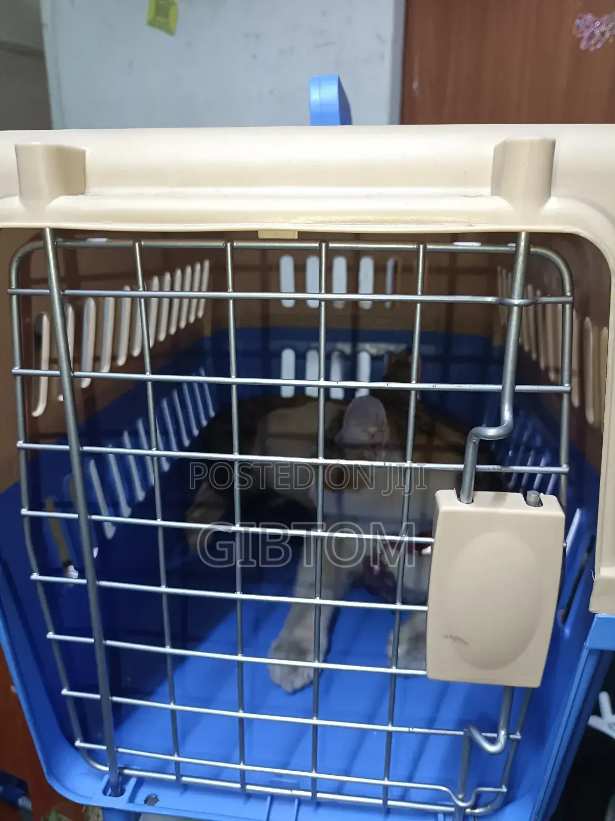 Iata Approved Pets Carrier Crates