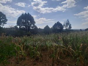 Prime 3 Acres for Sale in Nanyuki - thumbnail 2