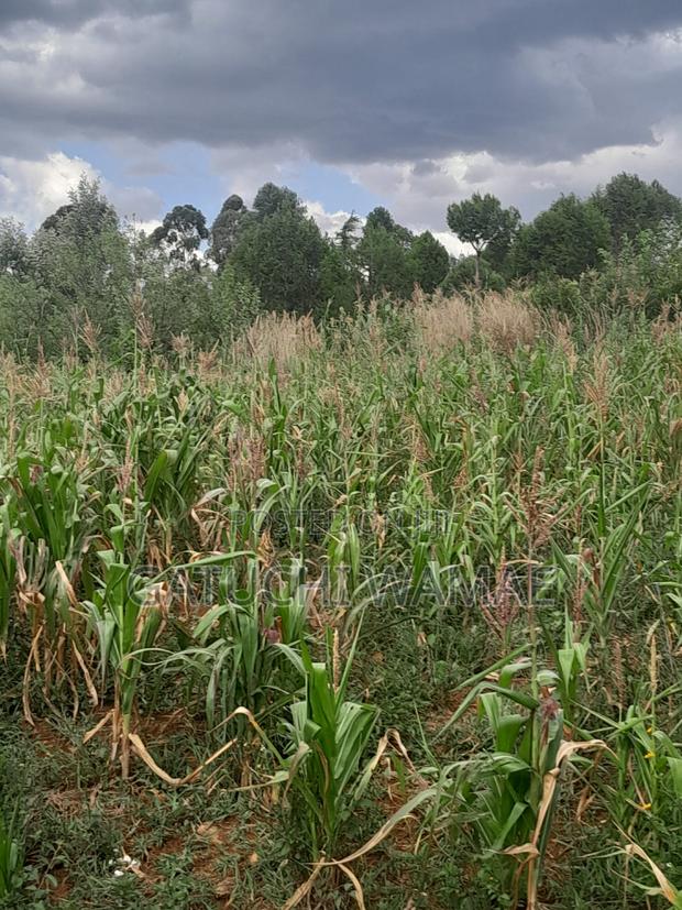 Prime 3 Acres for Sale in Nanyuki - thumbnail 3