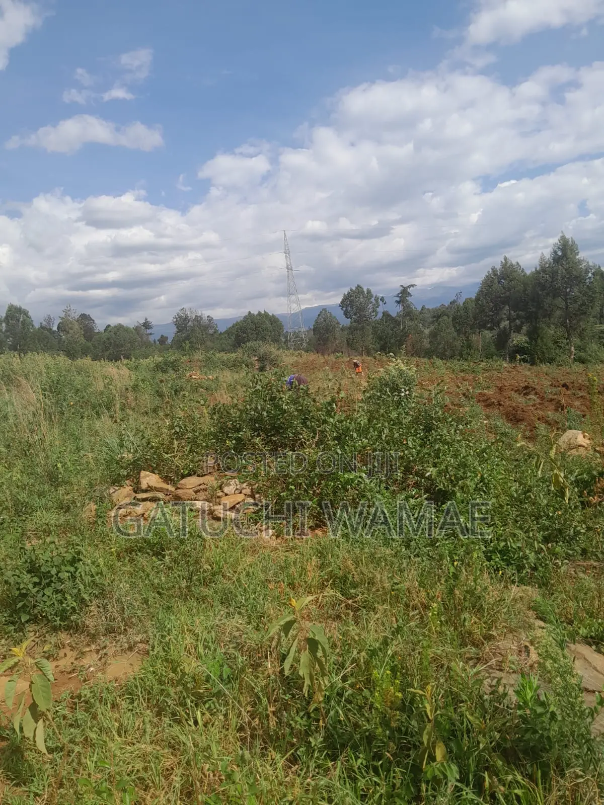 Prime 3 Acres for Sale in Nanyuki