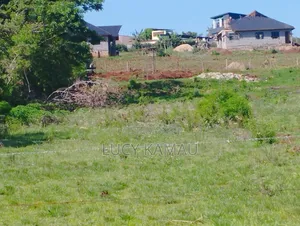 50x100 Plots in Sagana 100 Metres From Tarmac