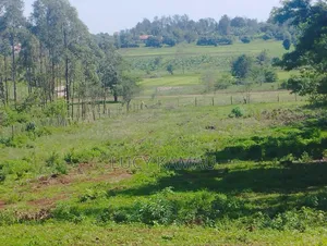 50x100 Plots in Sagana 100 Metres From Tarmac