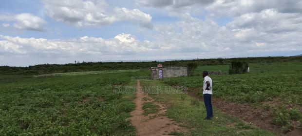 Plots for Sale in Nakuru at Kongasis With Ready Title Deed