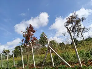 Reinforced Concrete Posts (8ft 10ft) - Direct From Supplier