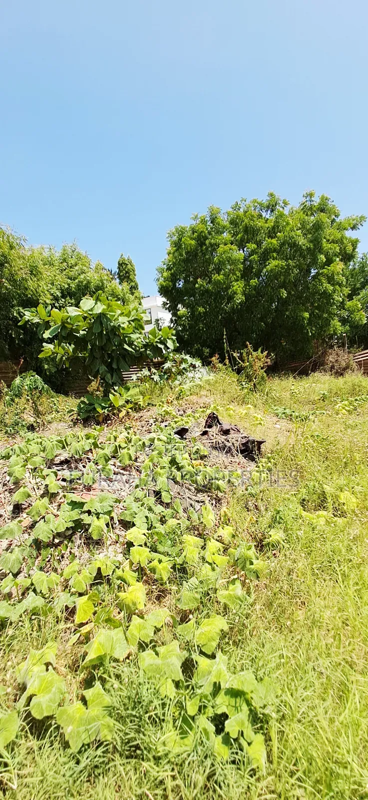 For Sale 3 Prime Plots Utange