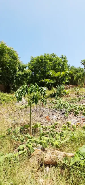 For Sale 3 Prime Plots Utange