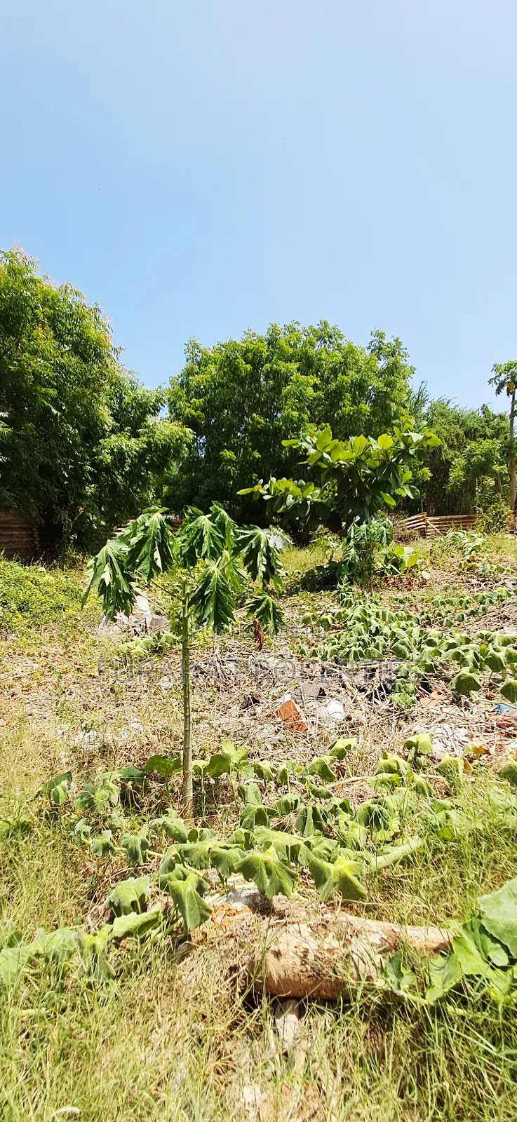 For Sale 3 Prime Plots Utange