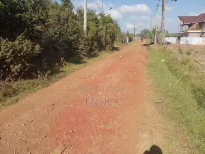 1⁄4acre in Ndovu Kimumu Barabara Ya Kwanza