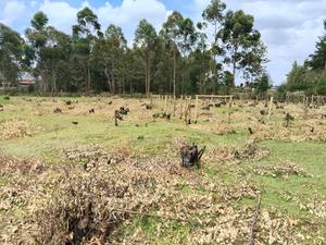 Kapseret Kabongo Residential Plots - thumbnail 2