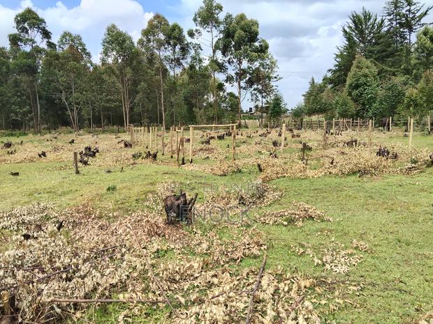 Kapseret Kabongo Residential Plots - thumbnail 3