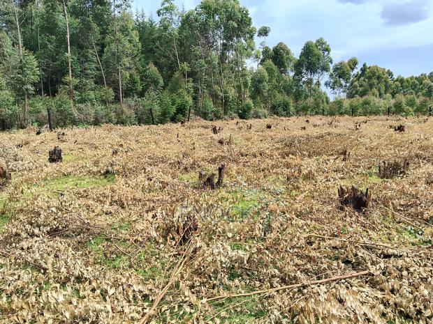 Kapseret Kabongo Residential Plots - thumbnail 4