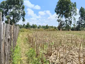 Ilula Eldoret Residential Plots