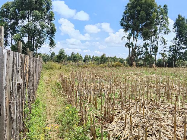 Ilula Eldoret Residential Plots - thumbnail 5