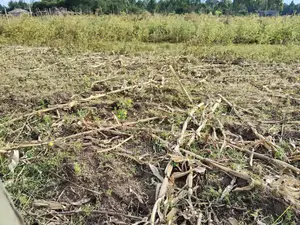 Outspan Kiambaa 1⁄4acre Plot