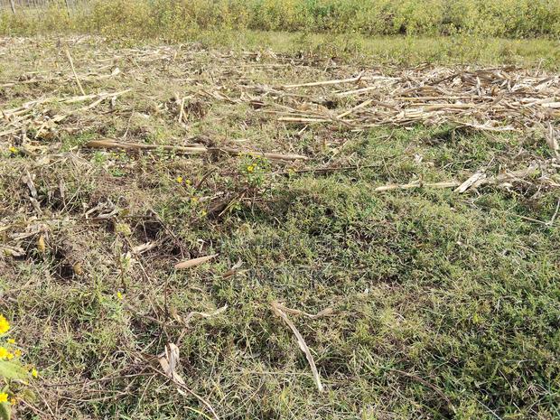 Outspan Kiambaa 1⁄4acre Plot - thumbnail 2