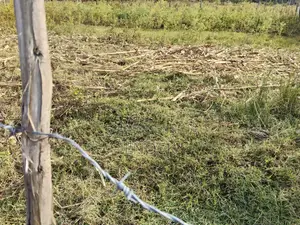 Outspan Kiambaa 1⁄4acre Plot
