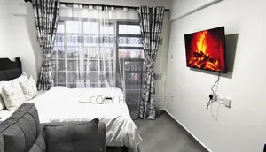 Furnished Premium Studio