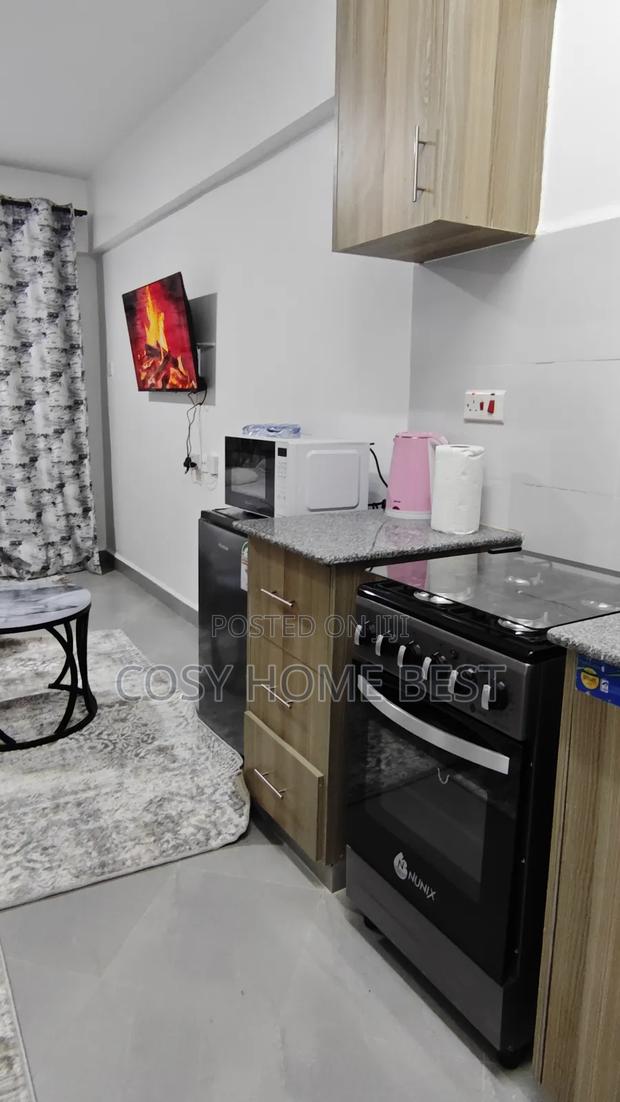 Furnished Premium Studio - thumbnail 4