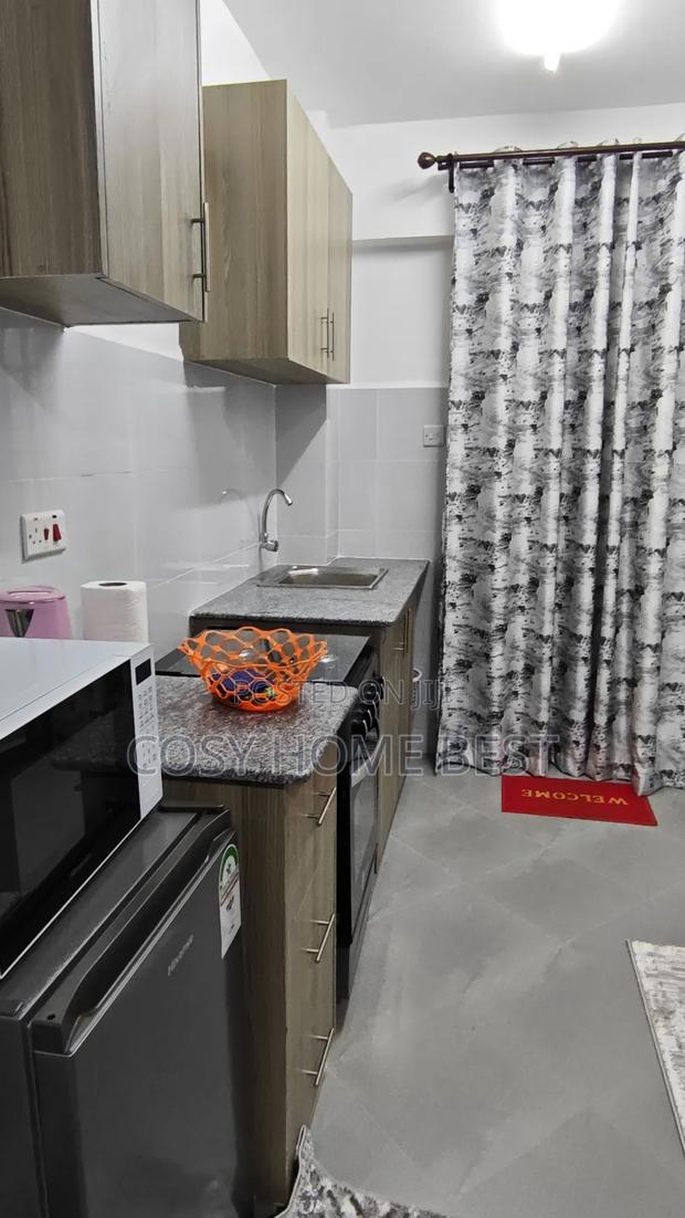 Furnished Premium Studio - thumbnail 5