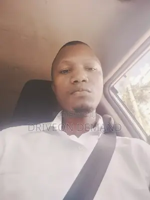 Executive/Personal Driver