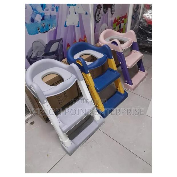 Toilet/Potty Ladder - main view
