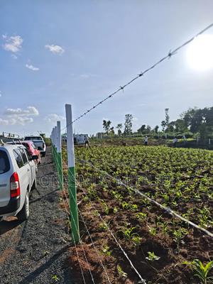 Plots For Sale In Makutano . Prime 50 By 100 Land For Sale. - thumbnail 2