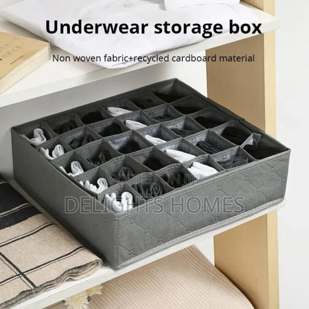 30 Grid Innerwear Storage Organizer_tt - main view