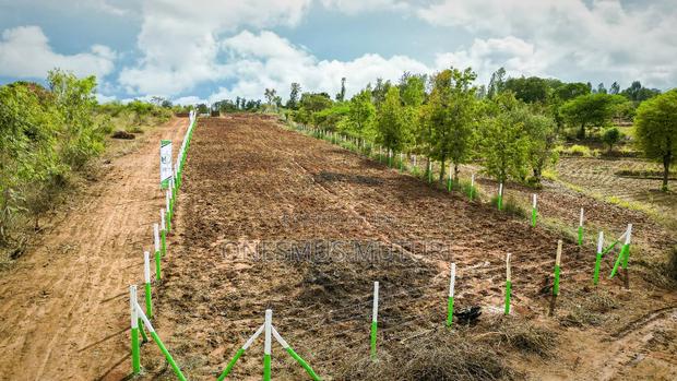 Plots For Sale In Makutano . Prime 50 By 100 Land For Sale. - thumbnail 3