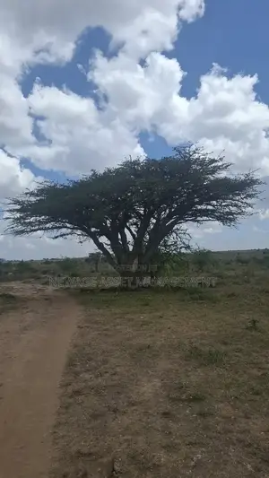 10 Acre Piece of Land for Sale in Isinya
