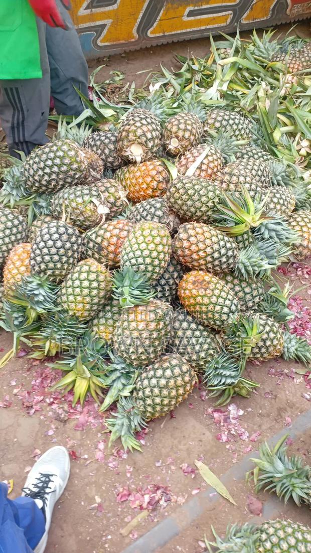 Jay Pinepal - main view