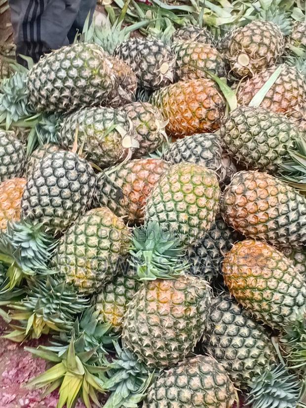 Jay Pinepal - thumbnail 3