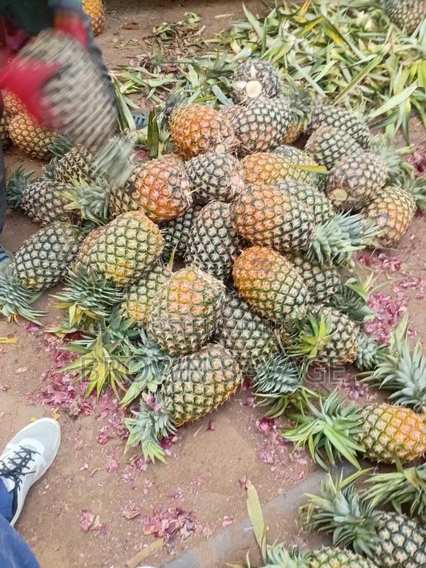 Jay Pinepal - thumbnail 4