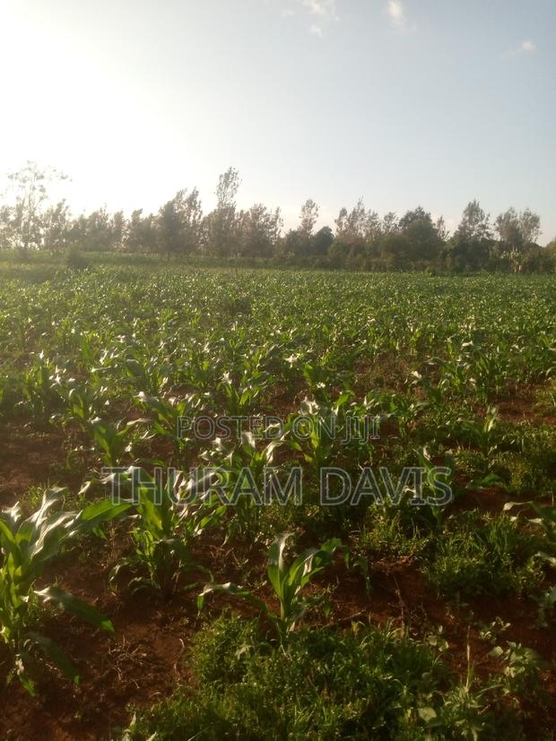 1 /4 Acre Ruiri - main view