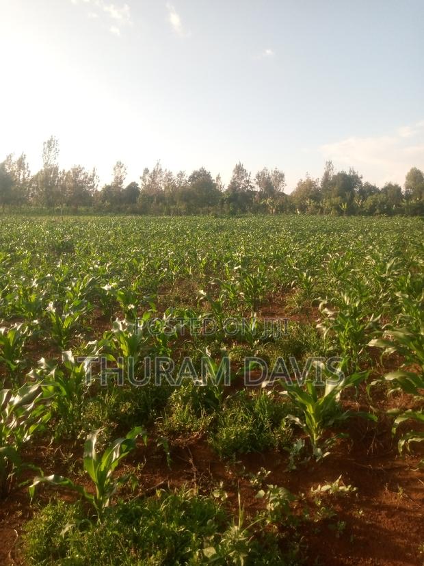 1 /4 Acre Ruiri - thumbnail 2