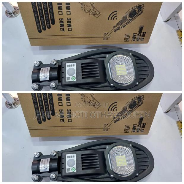 50w S624 Oval Solar Floodlight With Motion Sensor